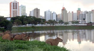 rio-preto-02